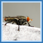 Sem nome (512 × 512 px) (310 × 310 px) (7)